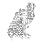 Map of Wexford county.